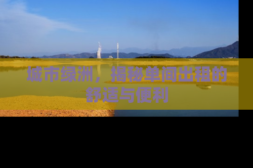 城市绿洲，揭秘单间出租的舒适与便利