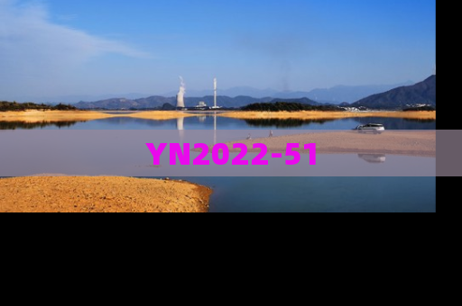YN2022-51