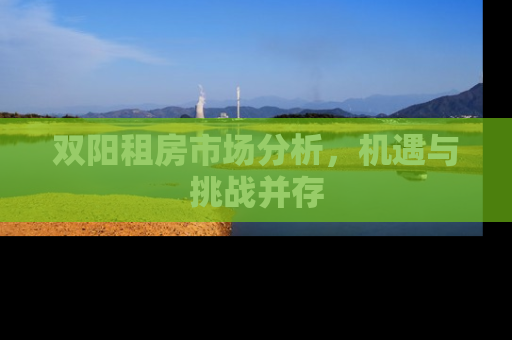 双阳租房市场分析，机遇与挑战并存