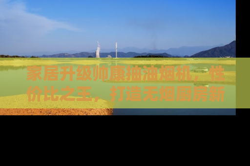 家居升级帅康抽油烟机，性价比之王，打造无烟厨房新体验