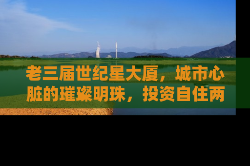 老三届世纪星大厦，城市心脏的璀璨明珠，投资自住两相宜的理想选择