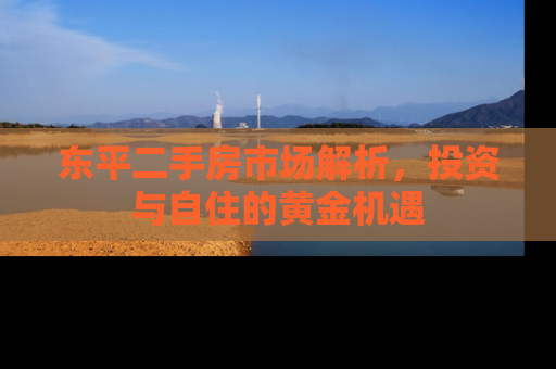 东平二手房市场解析，投资与自住的黄金机遇