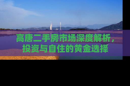 高唐二手房市场深度解析，投资与自住的黄金选择