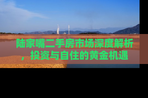陆家嘴二手房市场深度解析，投资与自住的黄金机遇