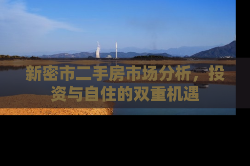 新密市二手房市场分析，投资与自住的双重机遇