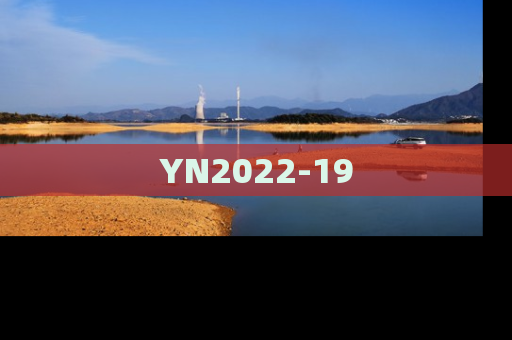 YN2022-19