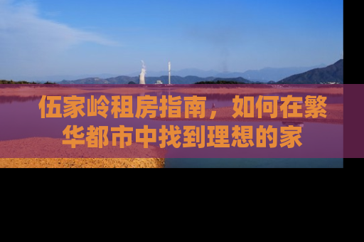 伍家岭租房指南，如何在繁华都市中找到理想的家