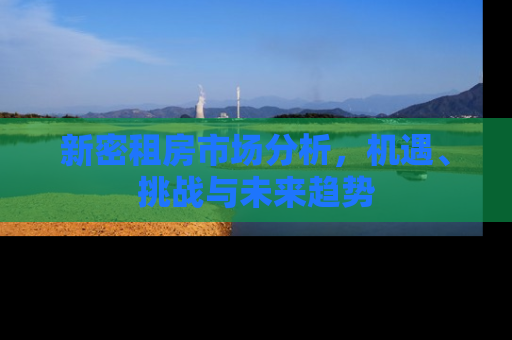 新密租房市场分析，机遇、挑战与未来趋势