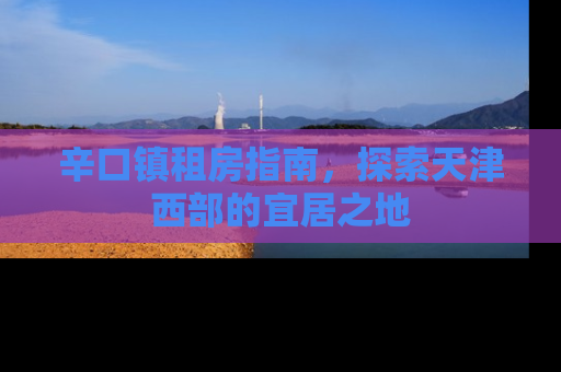 辛口镇租房指南，探索天津西部的宜居之地