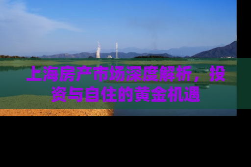 上海房产市场深度解析，投资与自住的黄金机遇