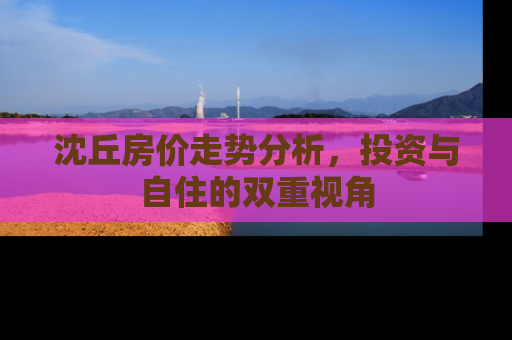 沈丘房价走势分析，投资与自住的双重视角