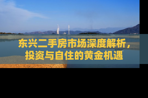 东兴二手房市场深度解析，投资与自住的黄金机遇