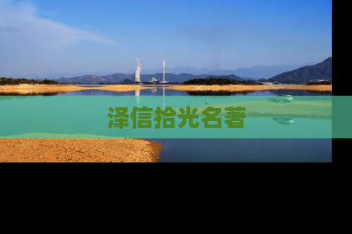 泽信拾光名著