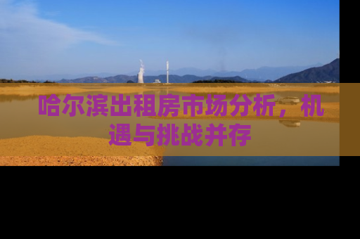 哈尔滨出租房市场分析，机遇与挑战并存