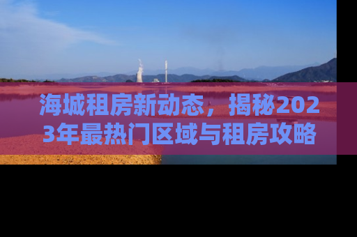 海城租房新动态，揭秘2023年最热门区域与租房攻略