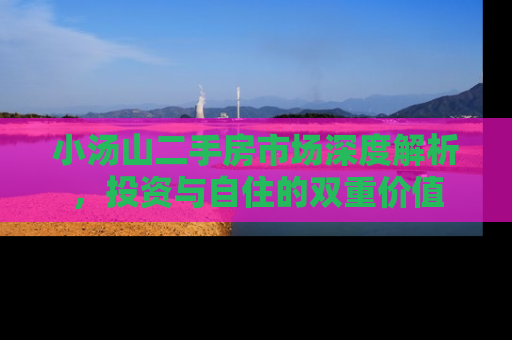小汤山二手房市场深度解析，投资与自住的双重价值