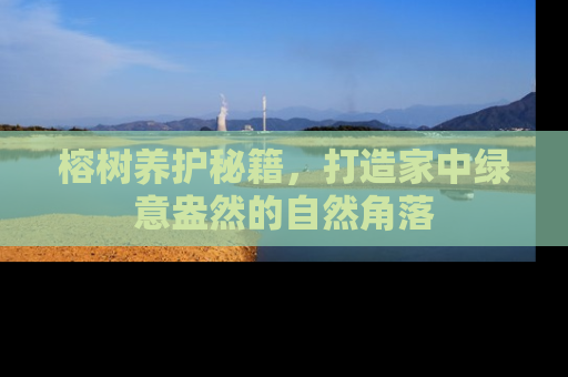 榕树养护秘籍，打造家中绿意盎然的自然角落