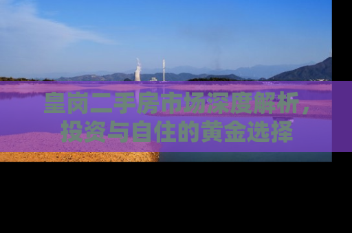 皇岗二手房市场深度解析，投资与自住的黄金选择