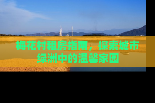梅花村租房指南，探索城市绿洲中的温馨家园