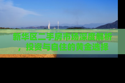 新华区二手房市场深度解析，投资与自住的黄金选择