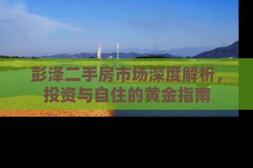彭泽二手房市场深度解析，投资与自住的黄金指南