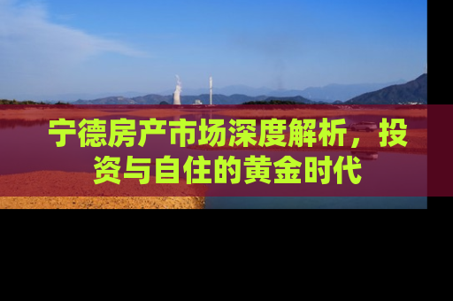 宁德房产市场深度解析，投资与自住的黄金时代