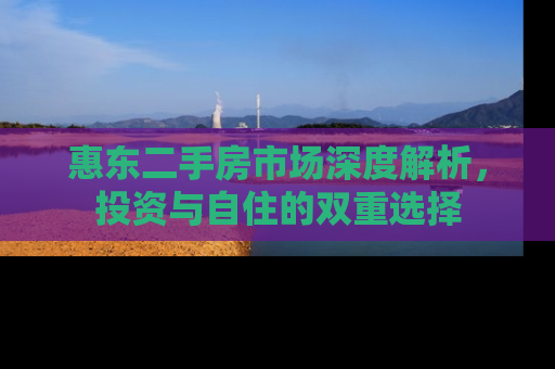 惠东二手房市场深度解析，投资与自住的双重选择
