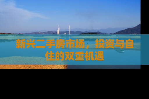 新兴二手房市场，投资与自住的双重机遇