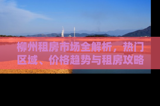 柳州租房市场全解析，热门区域、价格趋势与租房攻略