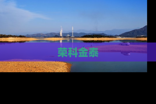 荣科金泰