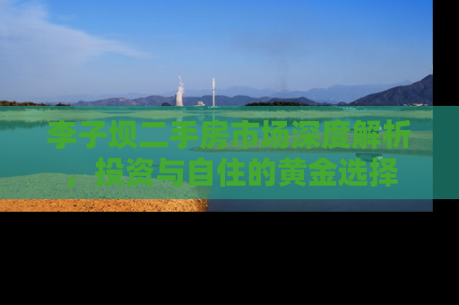 李子坝二手房市场深度解析，投资与自住的黄金选择