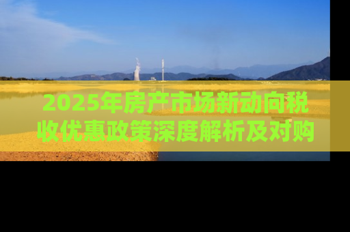 2025年房产市场新动向税收优惠政策深度解析及对购房者的影响