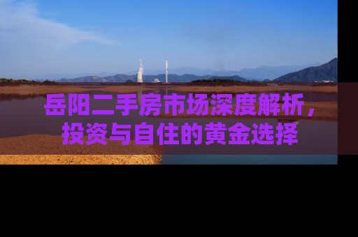 岳阳二手房市场深度解析，投资与自住的黄金选择