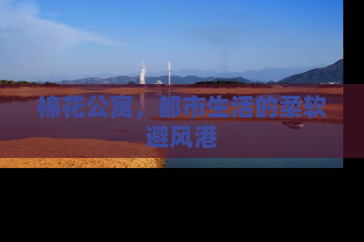 棉花公寓，都市生活的柔软避风港