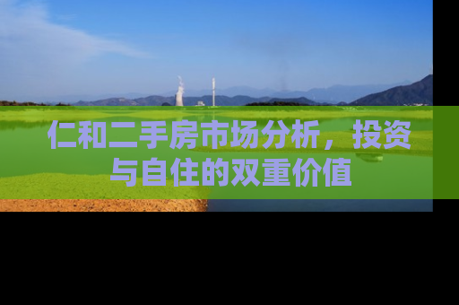仁和二手房市场分析，投资与自住的双重价值