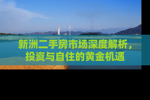 新洲二手房市场深度解析，投资与自住的黄金机遇