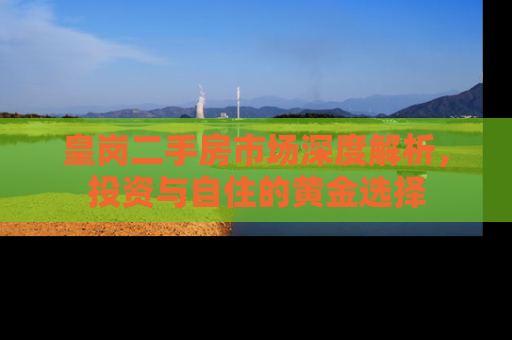 皇岗二手房市场深度解析，投资与自住的黄金选择