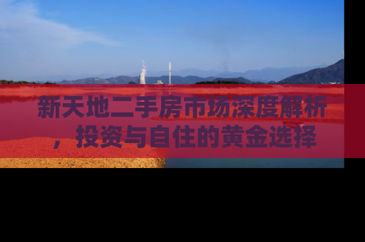 新天地二手房市场深度解析，投资与自住的黄金选择