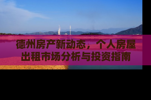 德州房产新动态，个人房屋出租市场分析与投资指南