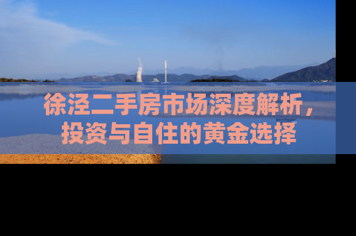 徐泾二手房市场深度解析，投资与自住的黄金选择