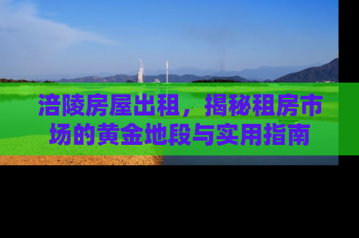 涪陵房屋出租，揭秘租房市场的黄金地段与实用指南