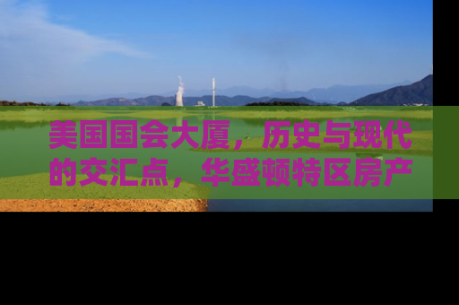 美国国会大厦，历史与现代的交汇点，华盛顿特区房产投资的黄金地段