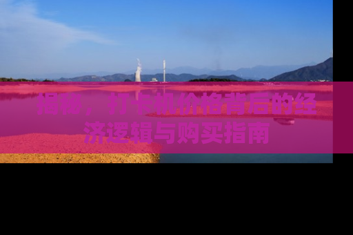 揭秘，打卡机价格背后的经济逻辑与购买指南