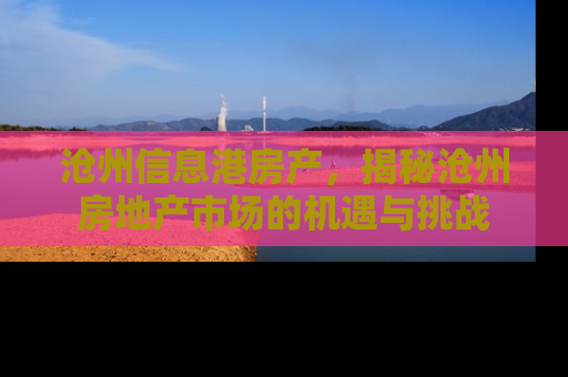 沧州信息港房产，揭秘沧州房地产市场的机遇与挑战