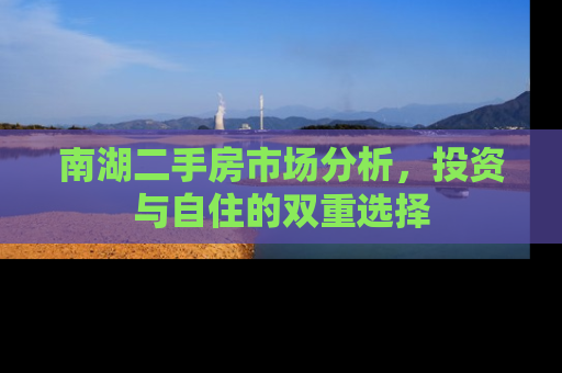 南湖二手房市场分析，投资与自住的双重选择