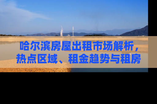 哈尔滨房屋出租市场解析，热点区域、租金趋势与租房攻略