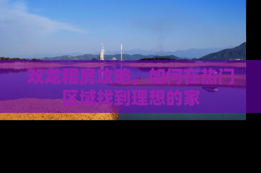 双龙租房攻略，如何在热门区域找到理想的家