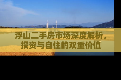浮山二手房市场深度解析，投资与自住的双重价值