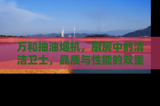 万和抽油烟机，厨房中的清洁卫士，品质与性能的双重保证
