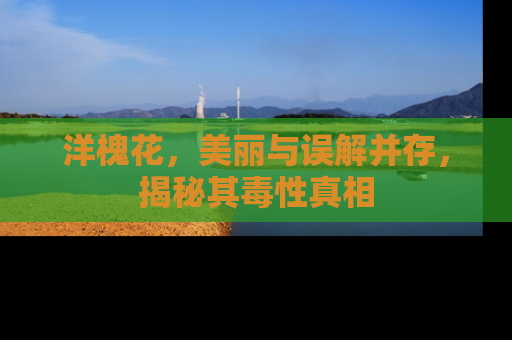 洋槐花，美丽与误解并存，揭秘其毒性真相